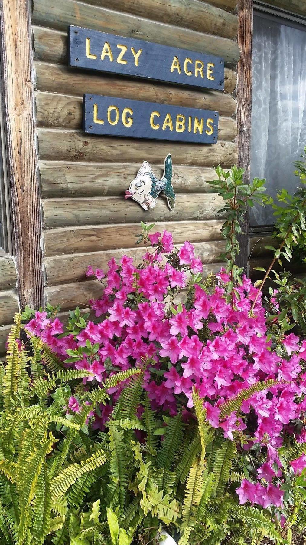 Lazy Acre Log Cabins 엔트런스호수 외부 사진